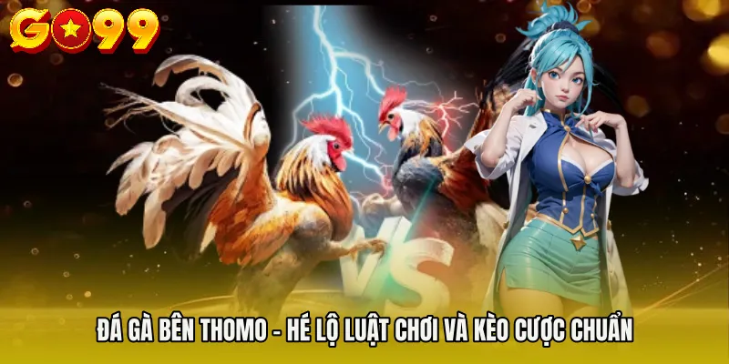 Đá Gà Bên Thomo - Hé Lộ Luật Chơi Và Kèo Cược Chuẩn