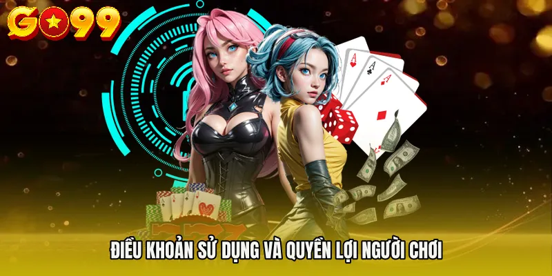 Điều khoản sử dụng và quyền lợi người chơi