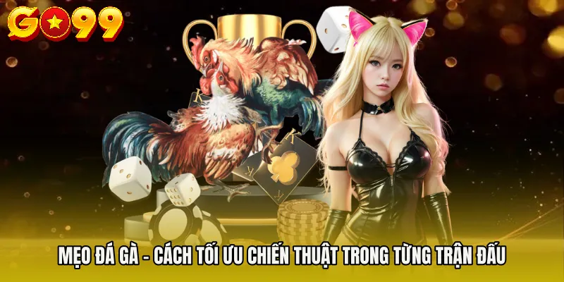 Mẹo Đá Gà - Cách Tối Ưu Chiến Thuật Trong Từng Trận Đấu 1 Mẹo Đá Gà - Cách Tối Ưu Chiến Thuật Trong Từng Trận Đấu